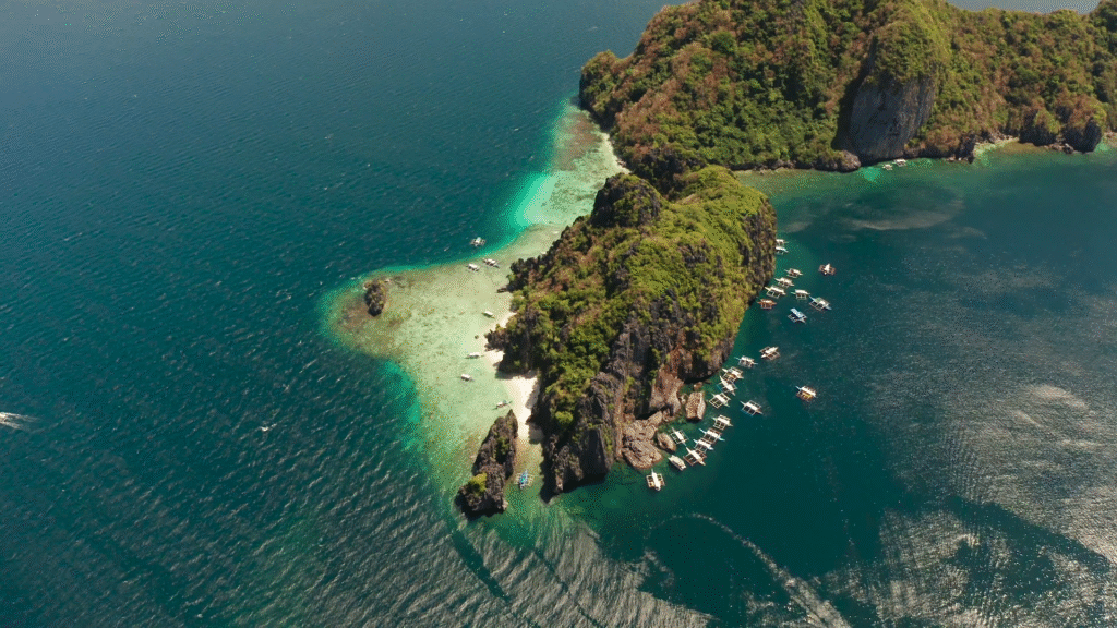 snake iseland in brazil